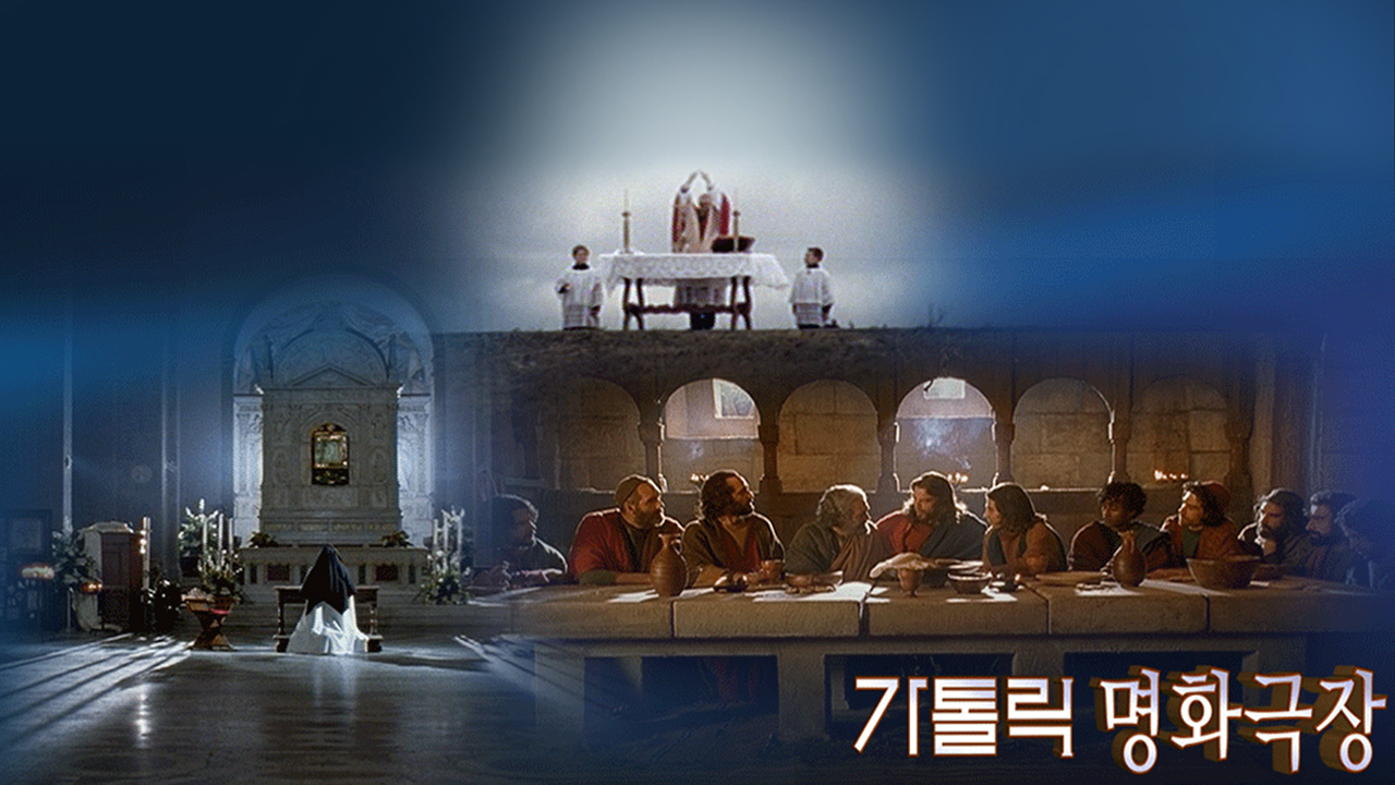 cpbc플러스 편성표 대표 이미지