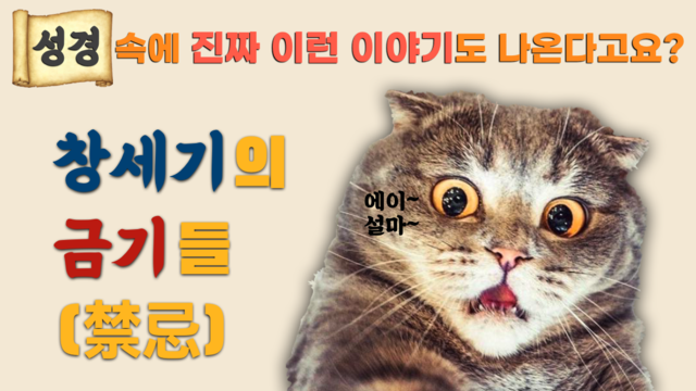 제9강 창세기 미니특강