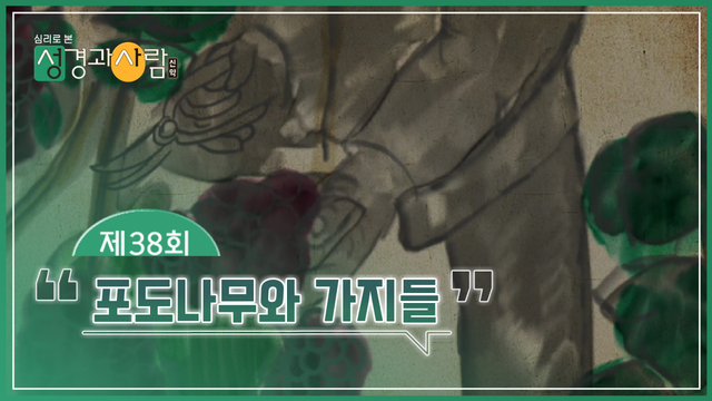 38회 포도나무와 가지들