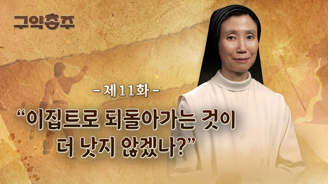 11회 이집트로 되돌아가는 것이 더 낫지 않겠나?