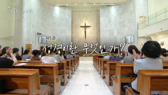 5과 성경이란 무엇인가?