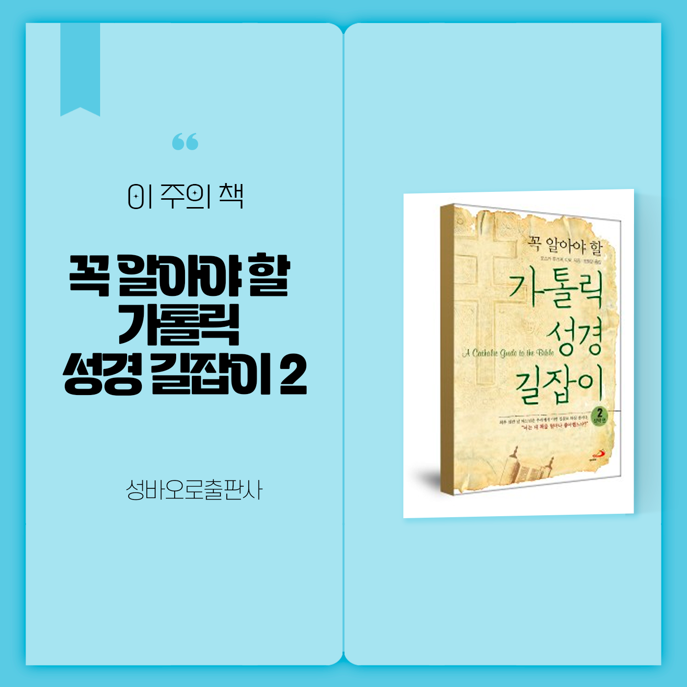 이 주의 책