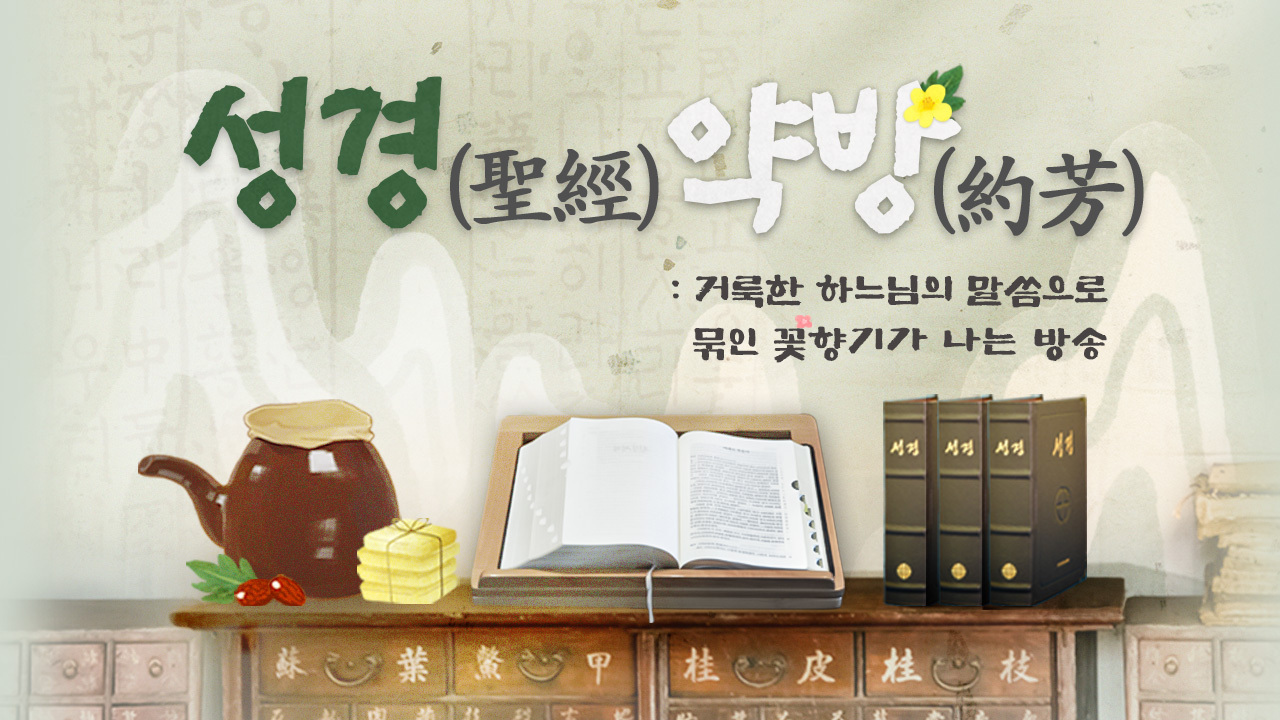 SPOTV NOW 서비스