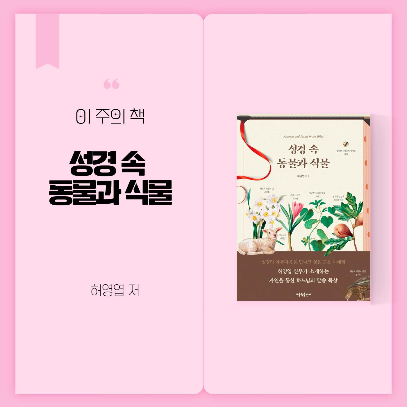이 주의 책