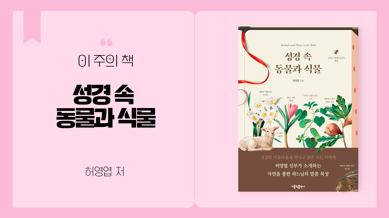 이 주의 책