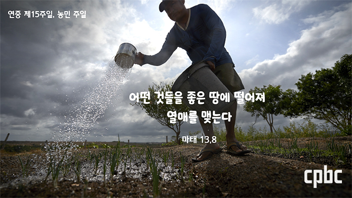 [생활 속의 복음]  연중 제15주일- 가시덤불을 걷어내면 모두가 좋은 땅이다
