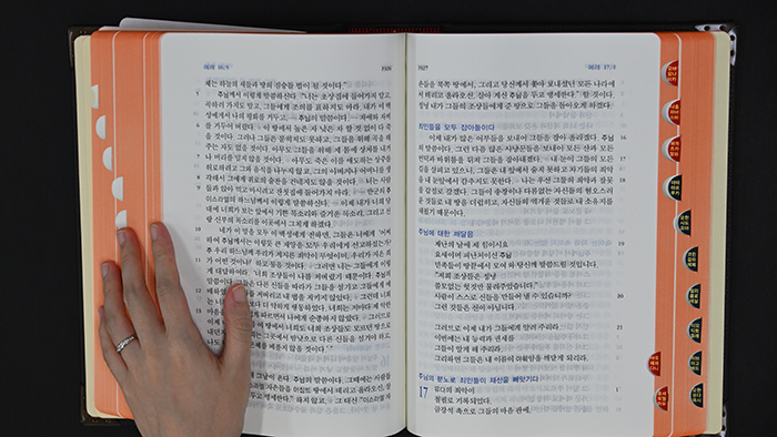 ‘가톨릭 50+ 성경 봉독 학교’ 교육생 모집