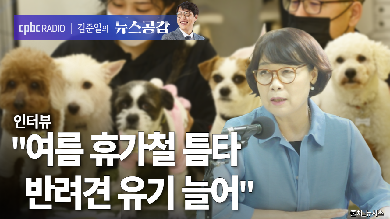 조희경 "여름 휴가철 틈타 반려견 유기 늘어" [김준일의 뉴스공감] - 뉴스 썸네일 이미지