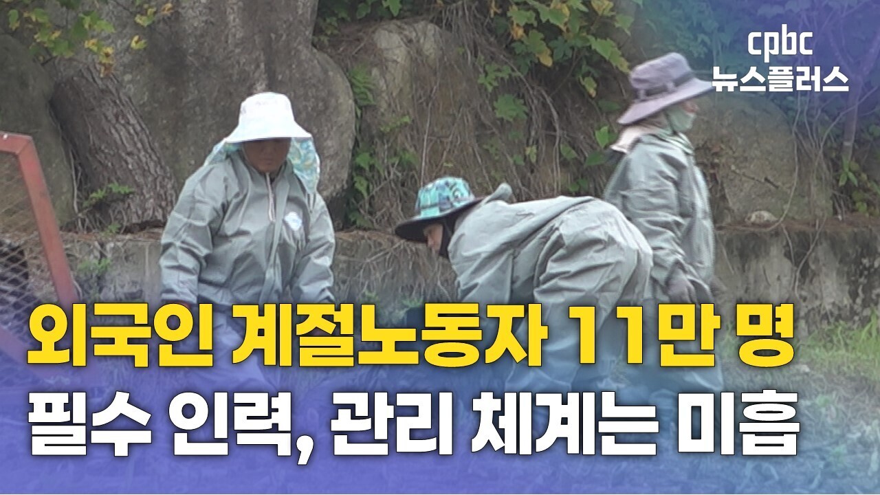 외국인 계절노동자 11만 명 시대...문제점과 대안은? - 뉴스 썸네일 이미지